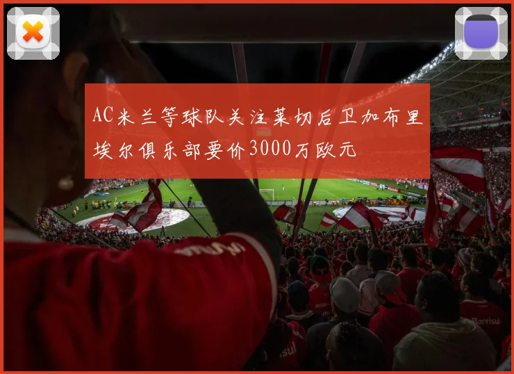 AC米兰等球队关注莱切后卫加布里埃尔俱乐部要价3000万欧元